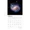 Hubble Space Telescope | 2026 12 x 24 Inch (Hanging) Monthly Square Wall Calendar | Foil Stamped Cover | Plastic-Free | BrownTrout | Science Astronomy Technology